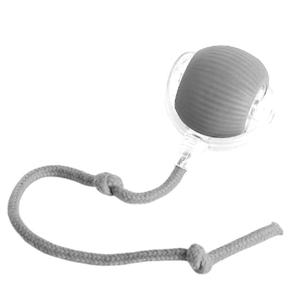 Interactive Rechargeable Cat and Dog Rolling Ball Toy - Smart Pet Entertainment 2024