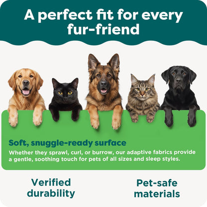 Orthopedic Dog Bed for Large/Medium Dogs W/ Removable Bolsters & Washable Cover, for Dogs up to 55 Lbs - Luxe Faux Fur & Performance Linen Sofa - Charcoal, Large