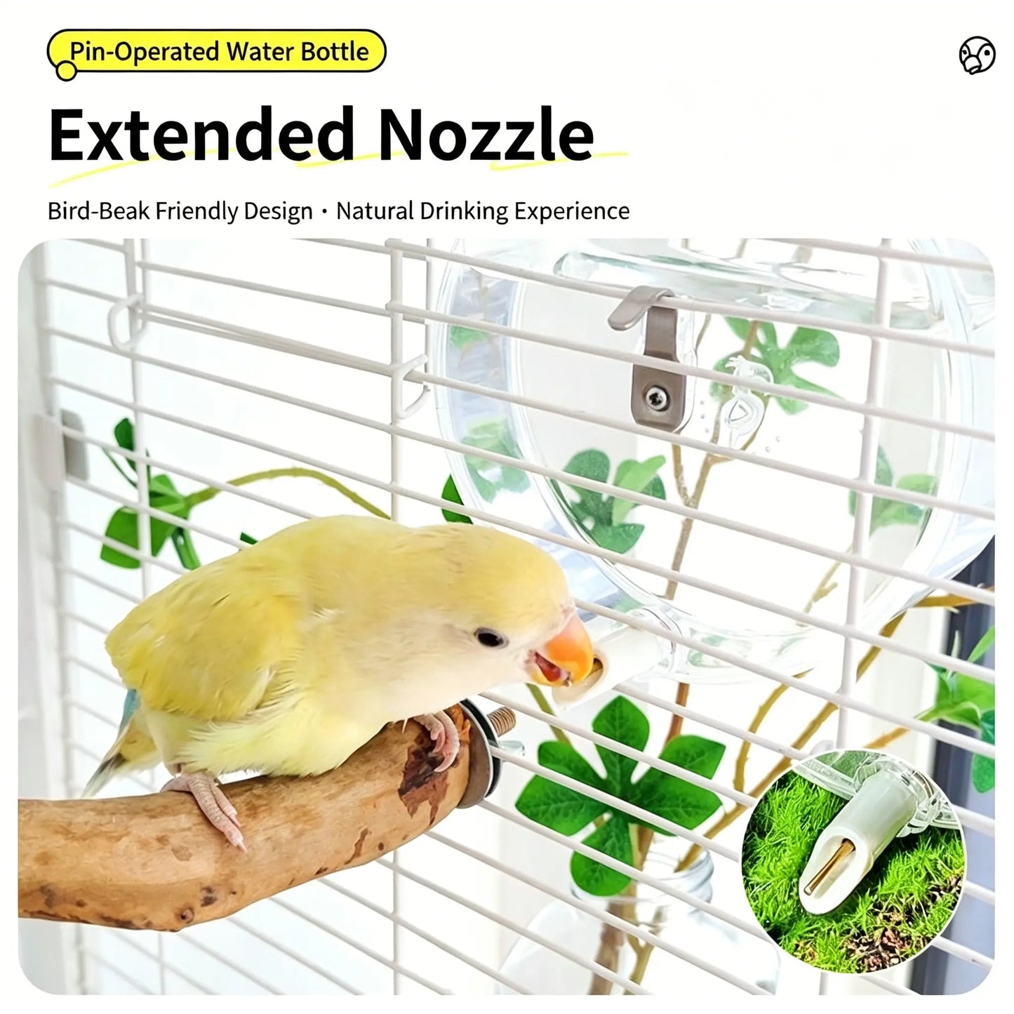 Automatic Pet Bird Water Feeder, Transparent Water Dispenser for Cage, Bird Cage Suspended Automatic Pet Water Feeder, Parrot Feeders for Parakeet Budgie Cockatiel Lovebirds Canary Finch