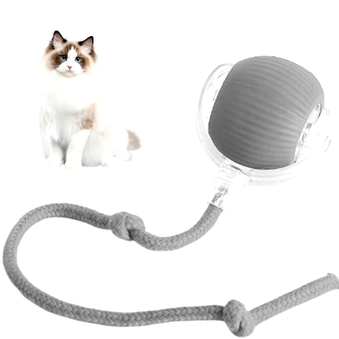 Interactive Rechargeable Cat and Dog Rolling Ball Toy - Smart Pet Entertainment 2024