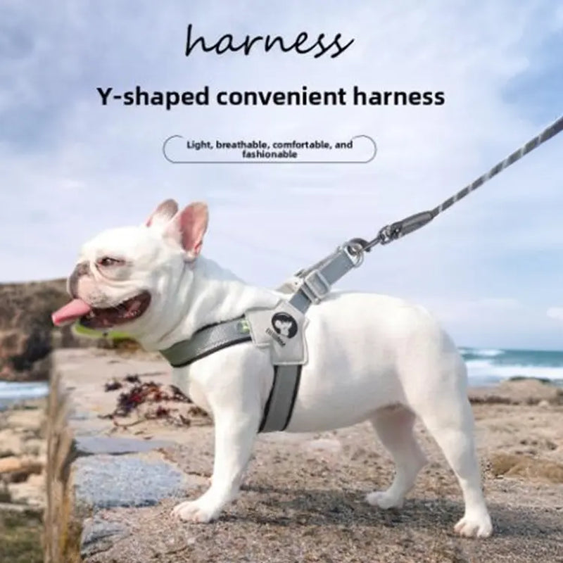 Dog Harness Leash for Small and Medium-Sized Dogs Such as Corgis, Shiba Inus, and French Bulldogs; Collar/Vest Style Dog Walker Leash/Pet Collar